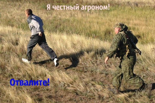 Кракен зеркало ссылка онлайн