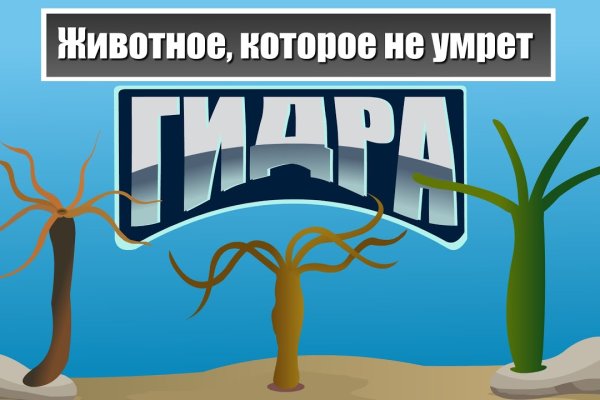 Кракен маркетплейс ссылка vtor run