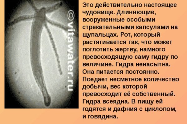 Вход в кракен даркнет